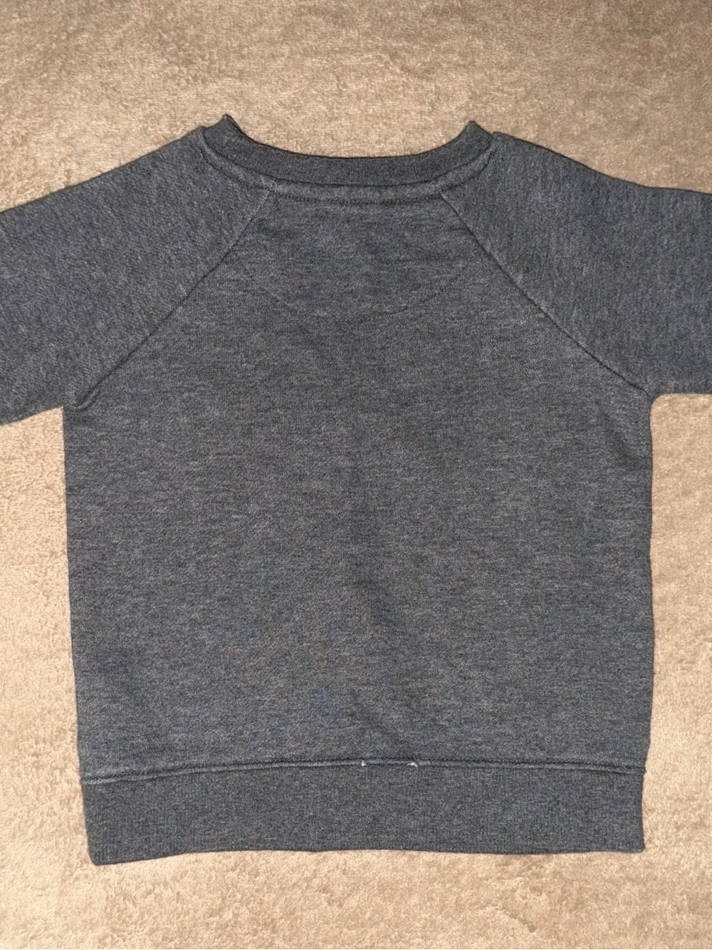 Reebok Heather Gray Crewneck Sweatshirt/Sweat Pants with Black Logo Set